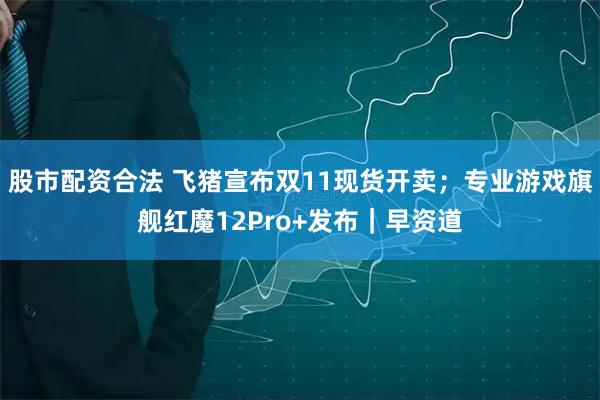 股市配资合法 飞猪宣布双11现货开卖；专业游戏旗舰红魔12Pro+发布｜早资道